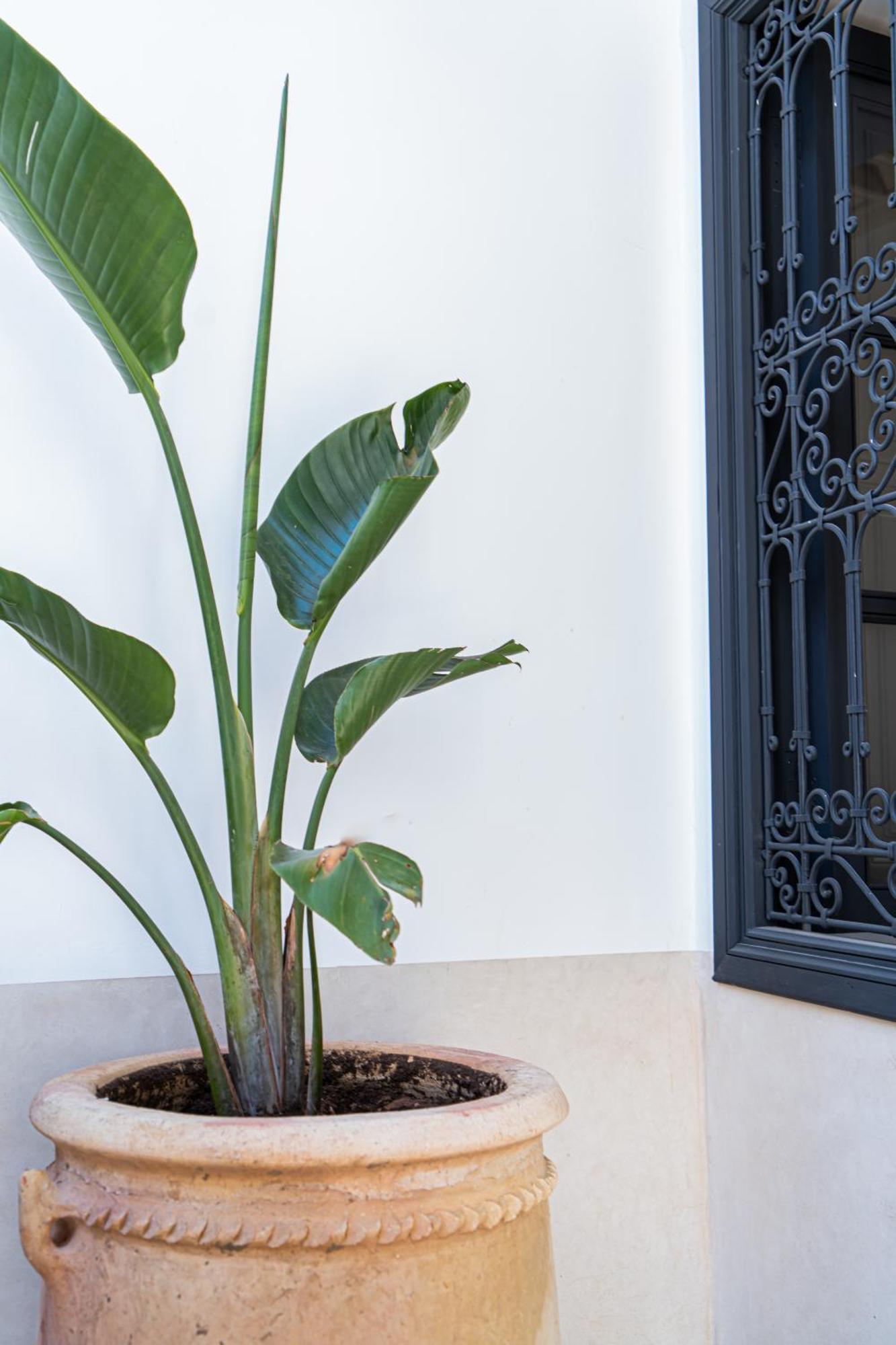 Riad Copah Marrakesch